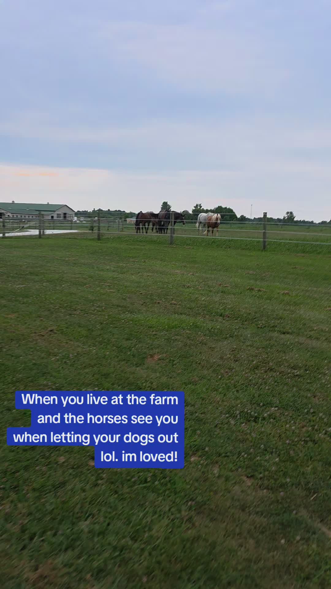 @Andrea West