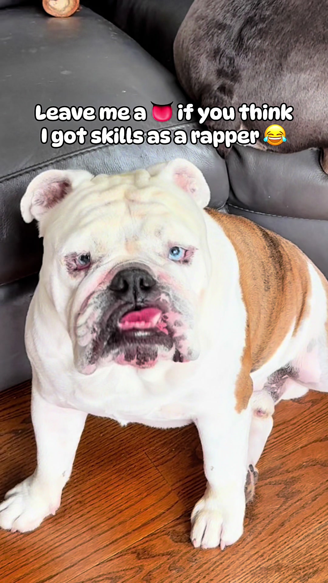@ChubbynBella