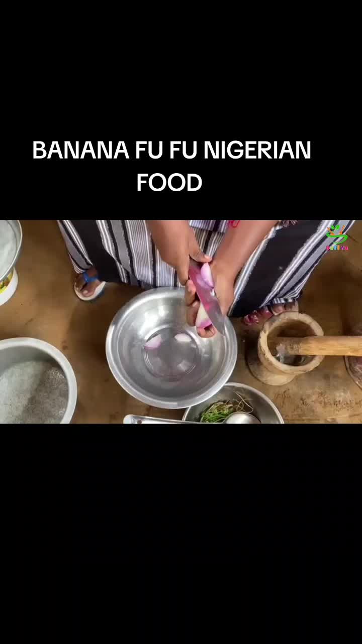 @safiyo zola