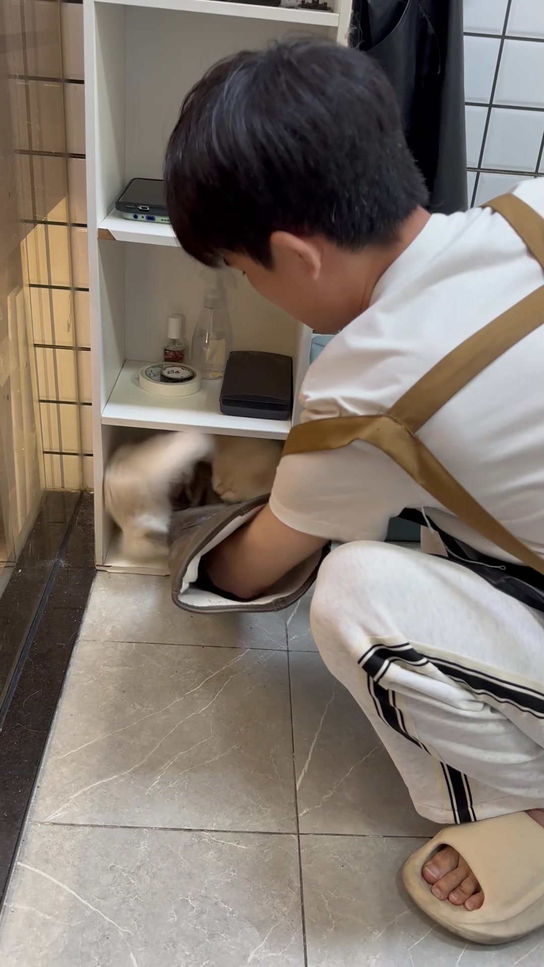 @washing.cats
