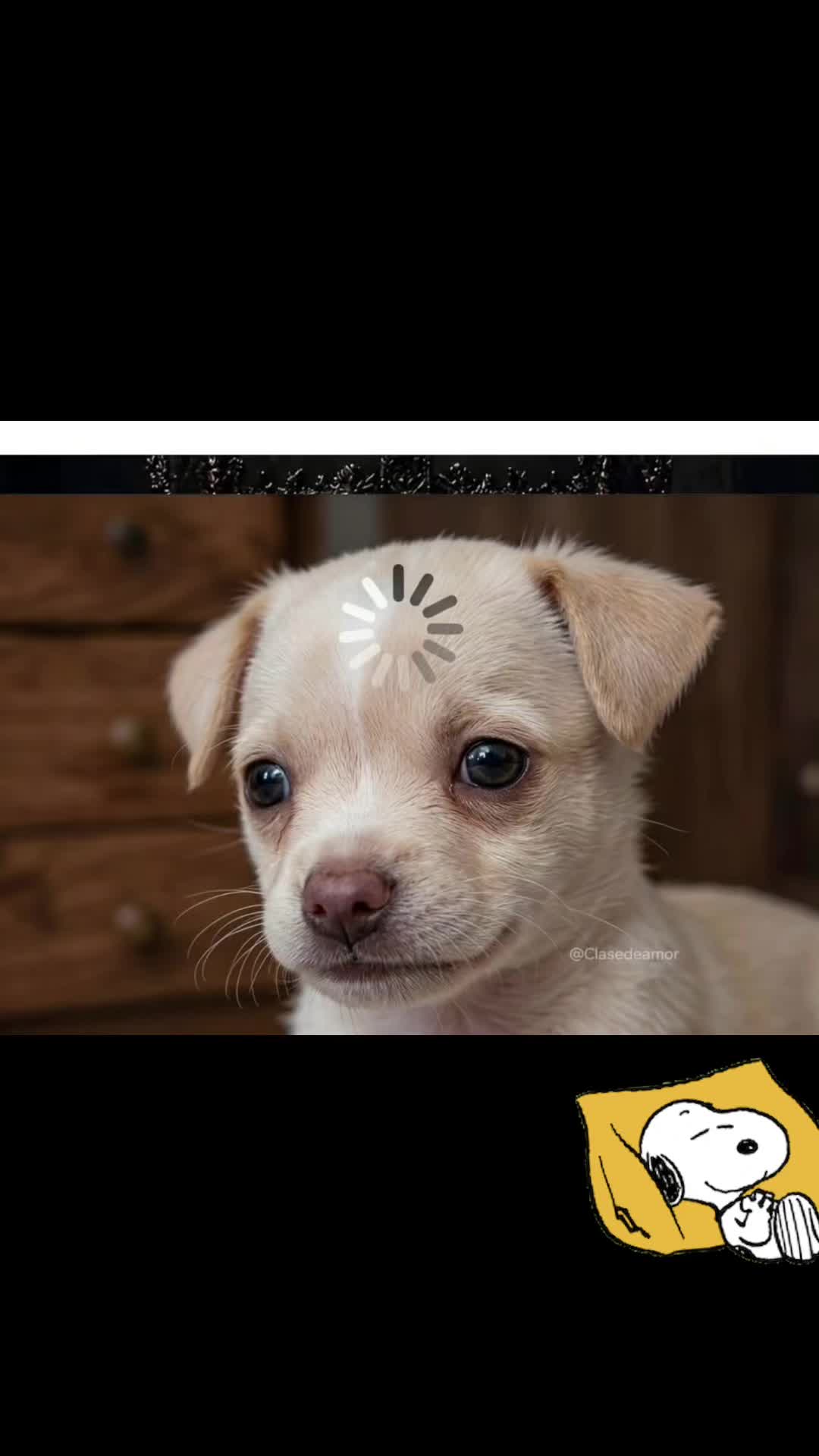 @Gatoflojoloko