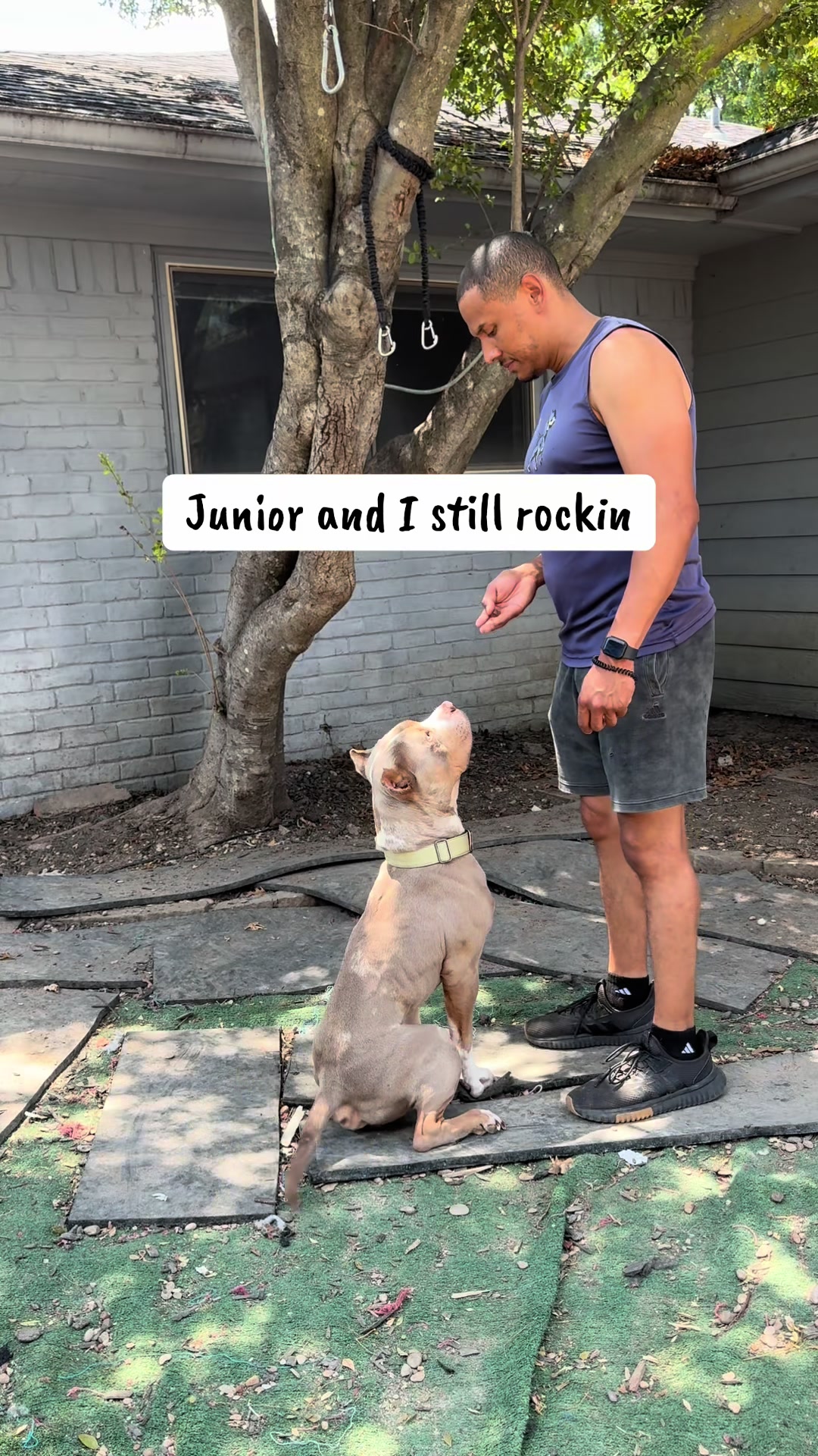 @Better Best Dog