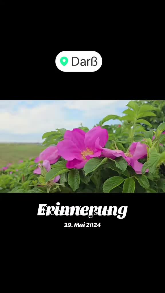 @โจ๏ธ๐ค๐ซIRIS GRIT๐ซ ๐คโจ๏ธ