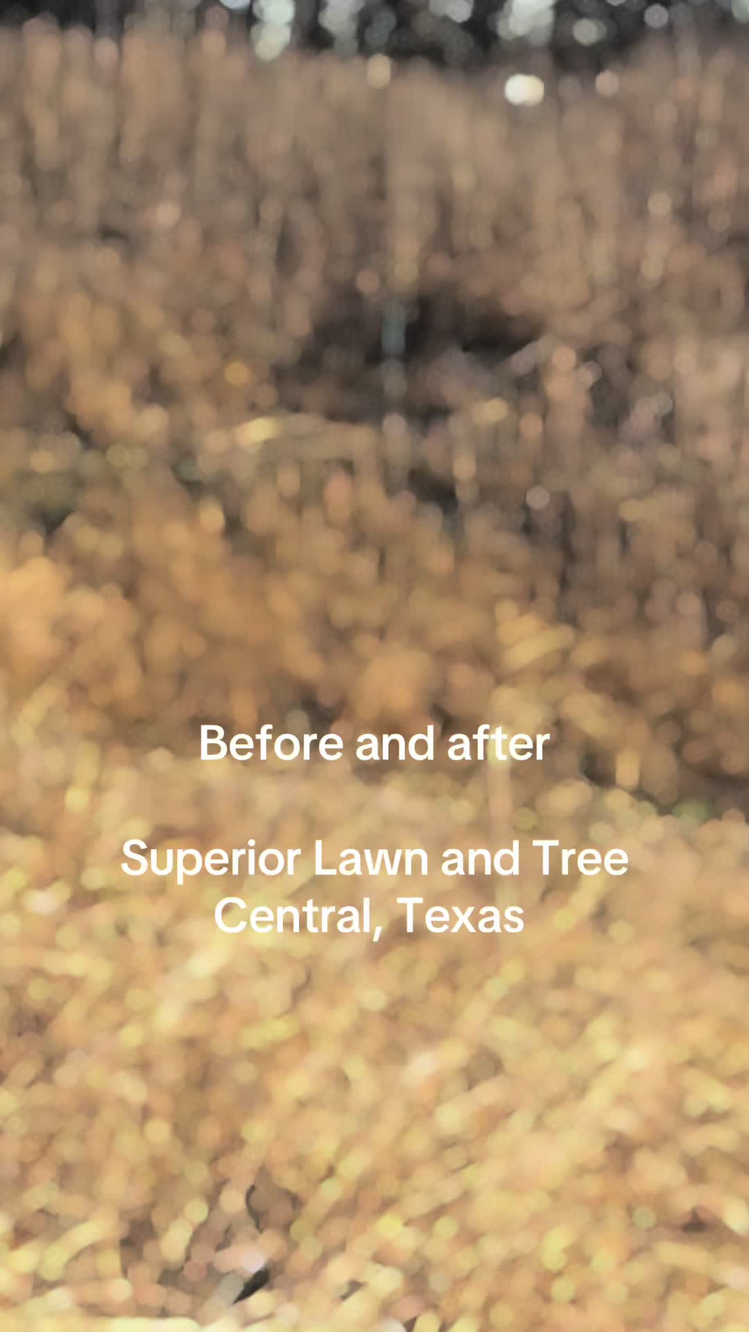 @Superior Lawn and Tree