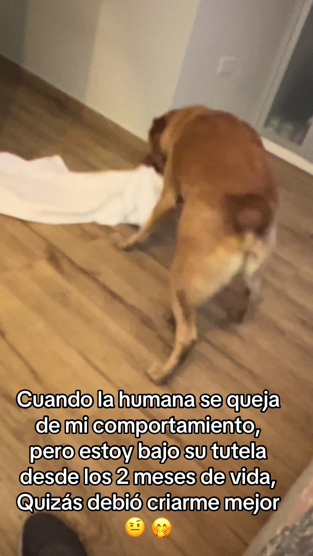 @Diario de Donny🐕 y mami👩🏻