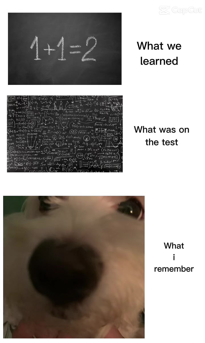 @≽^• ˕ • ྀི≼ 𝚓𝚓⋆˚𝜗𝜚˚⋆𐙚