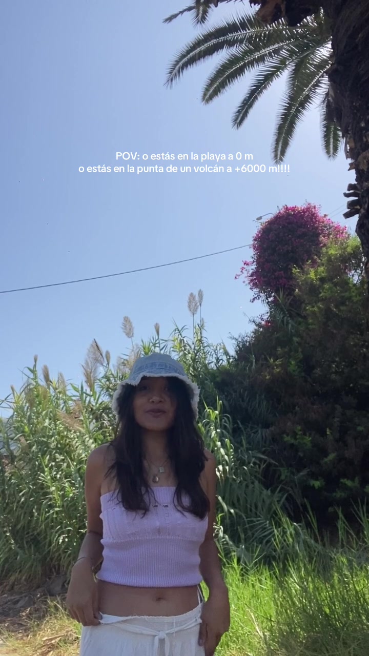 @vanne fernández