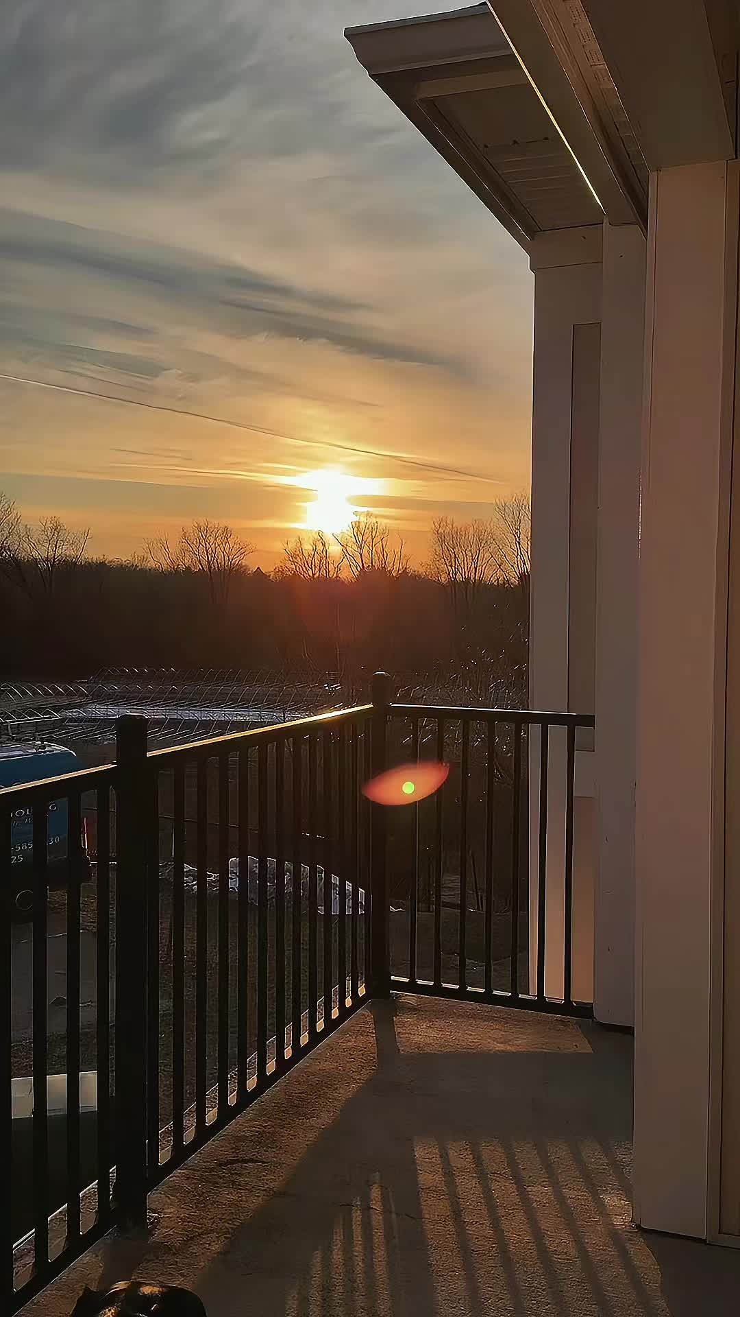@elli_doorn