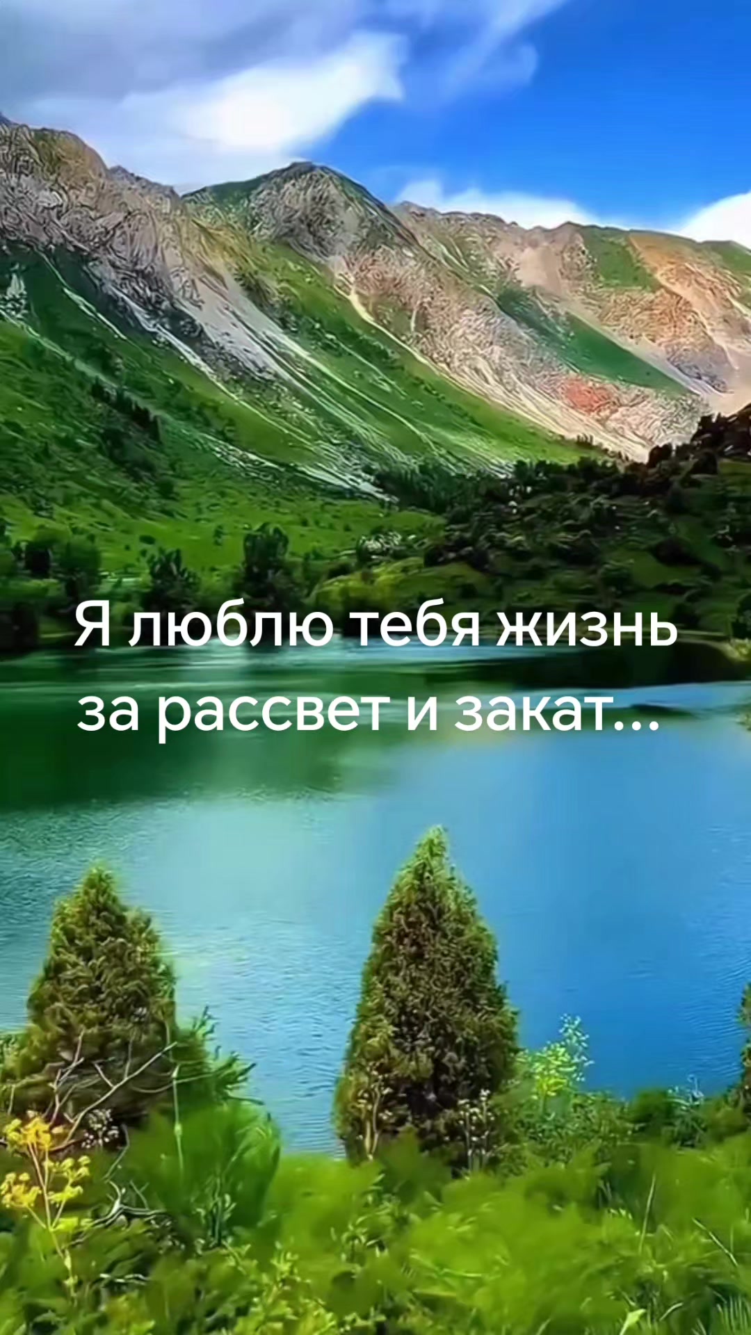 @Александр