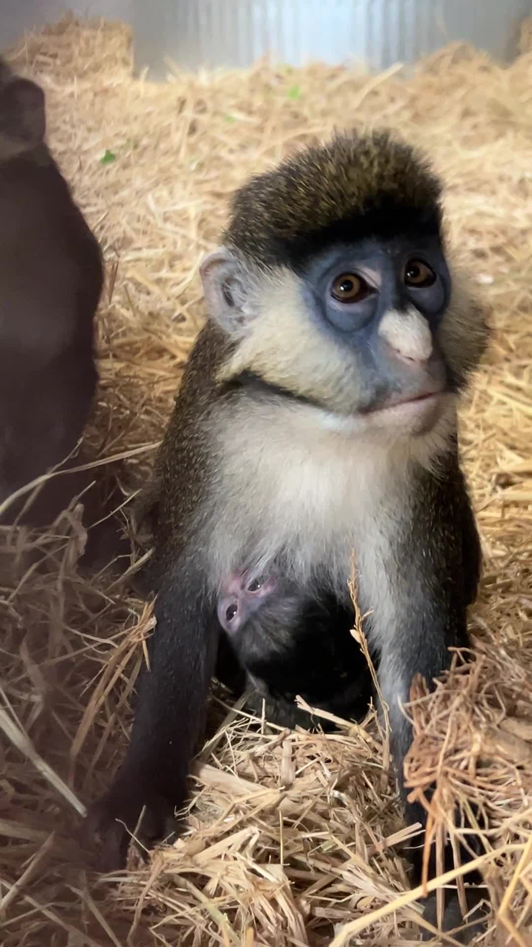 @Oakland Zoo