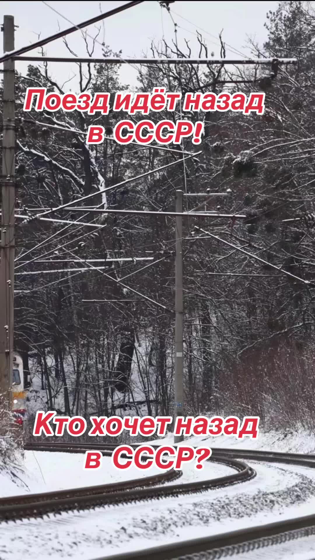 @EvgShv