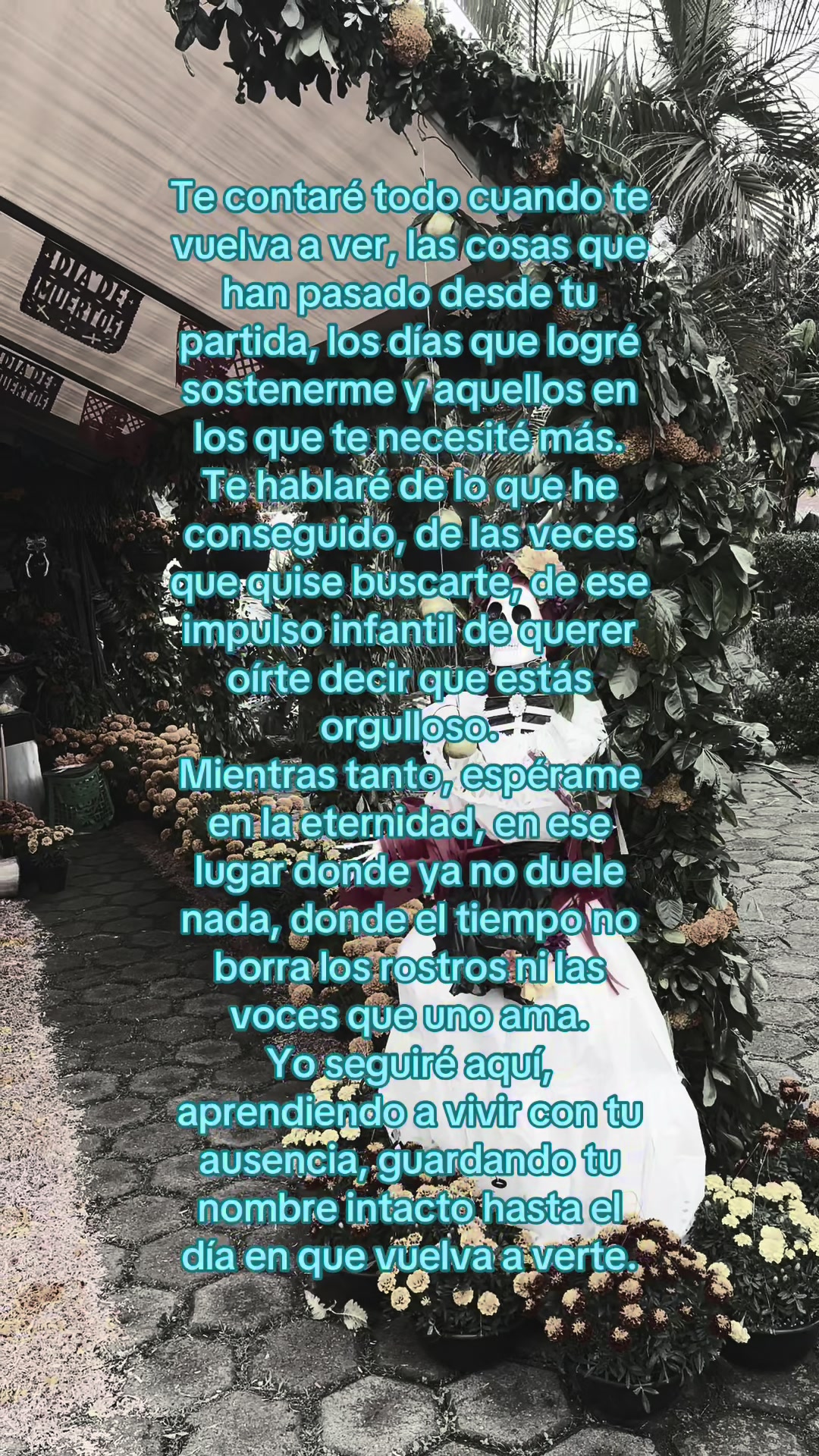 @frases88