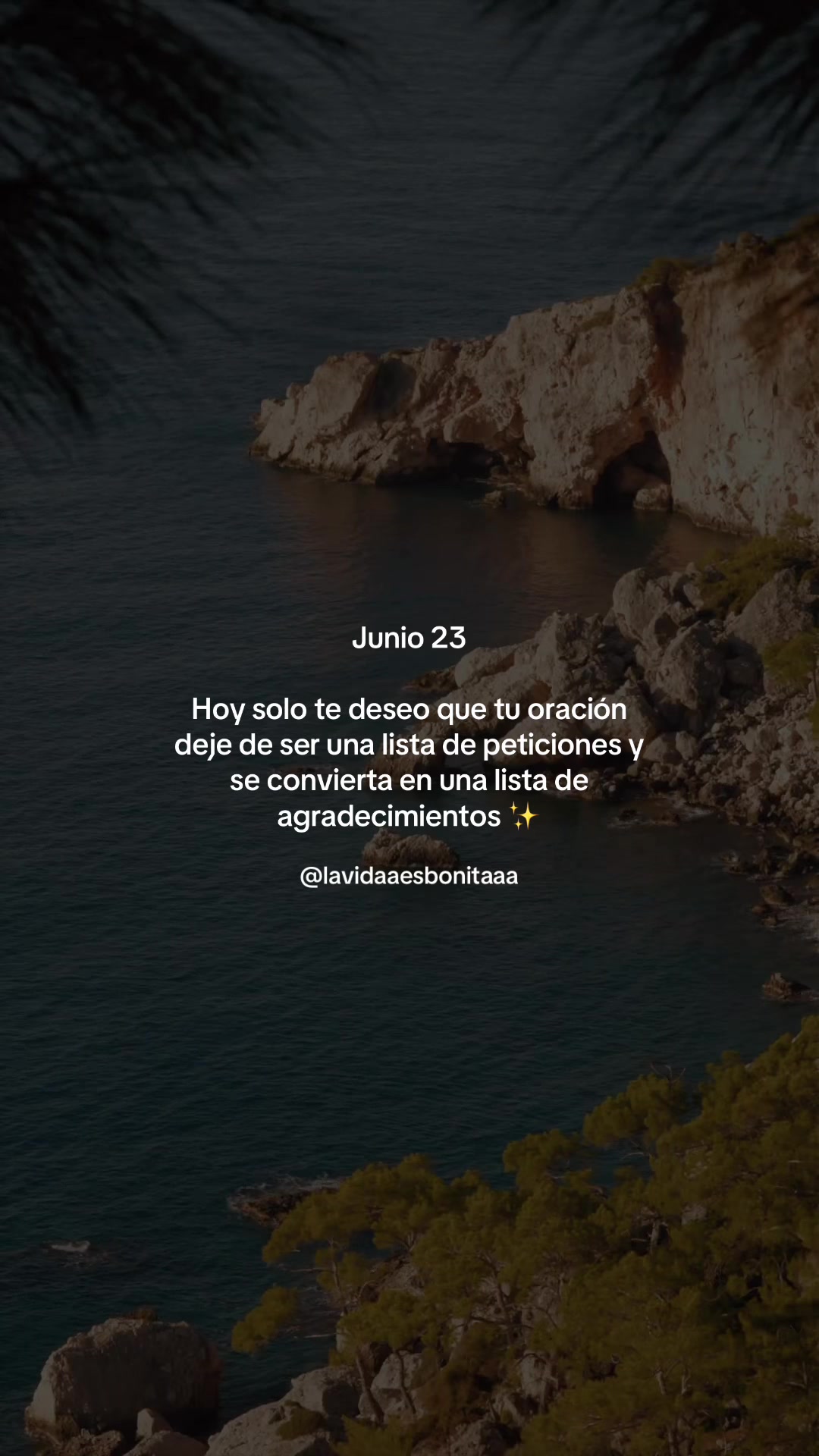 @vidabonita❤️&zwj;🩹