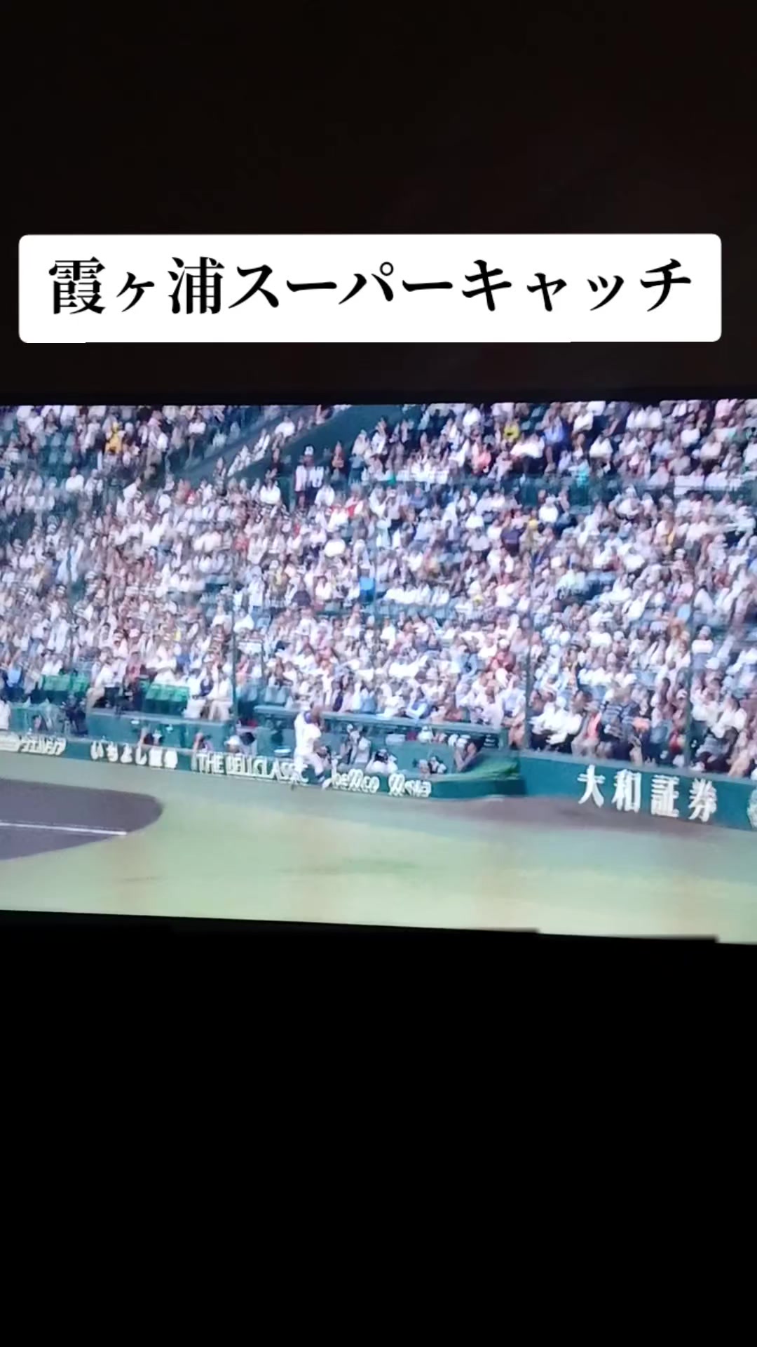 @きなこもち😂
