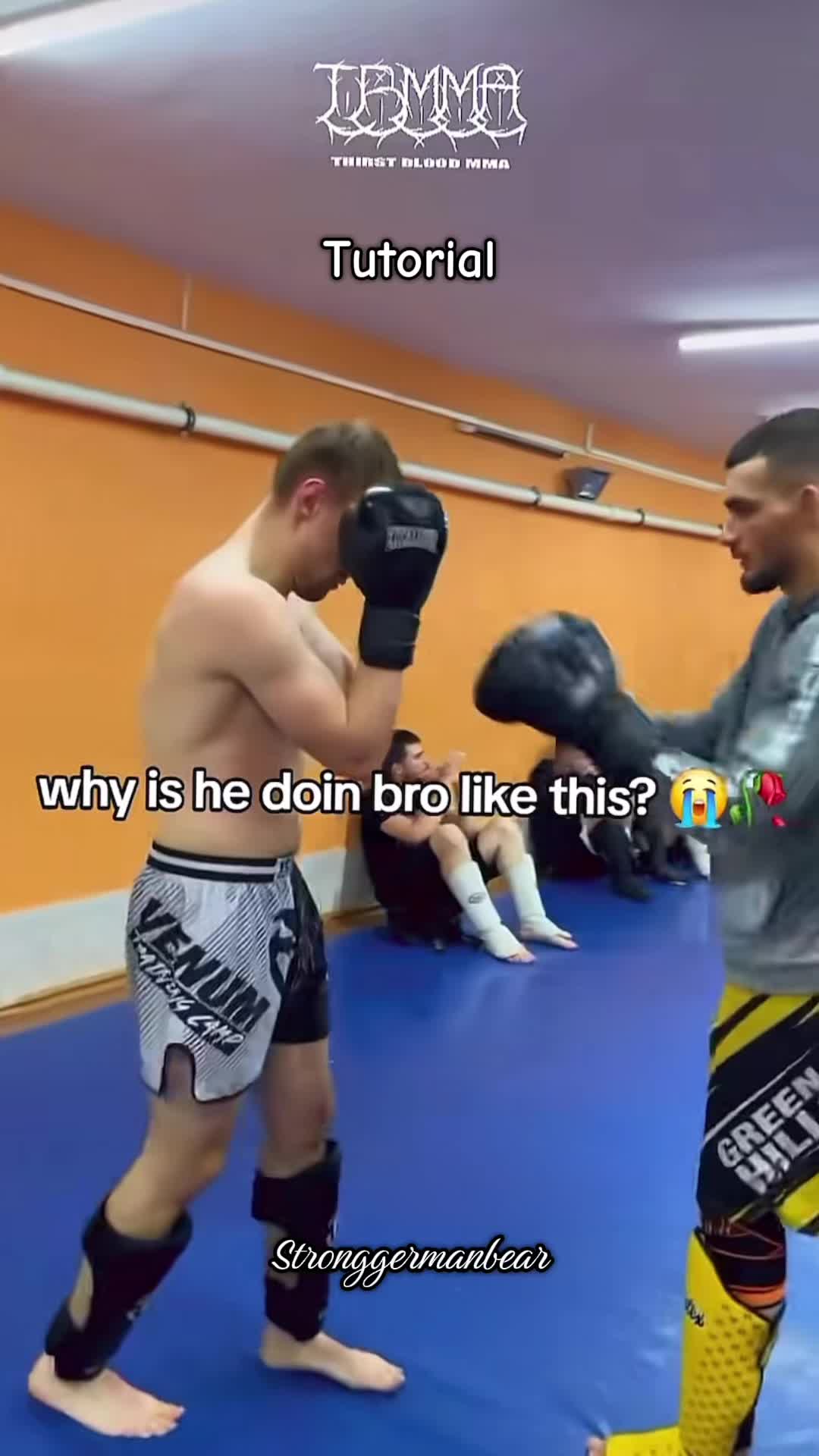 @stronggermanbear