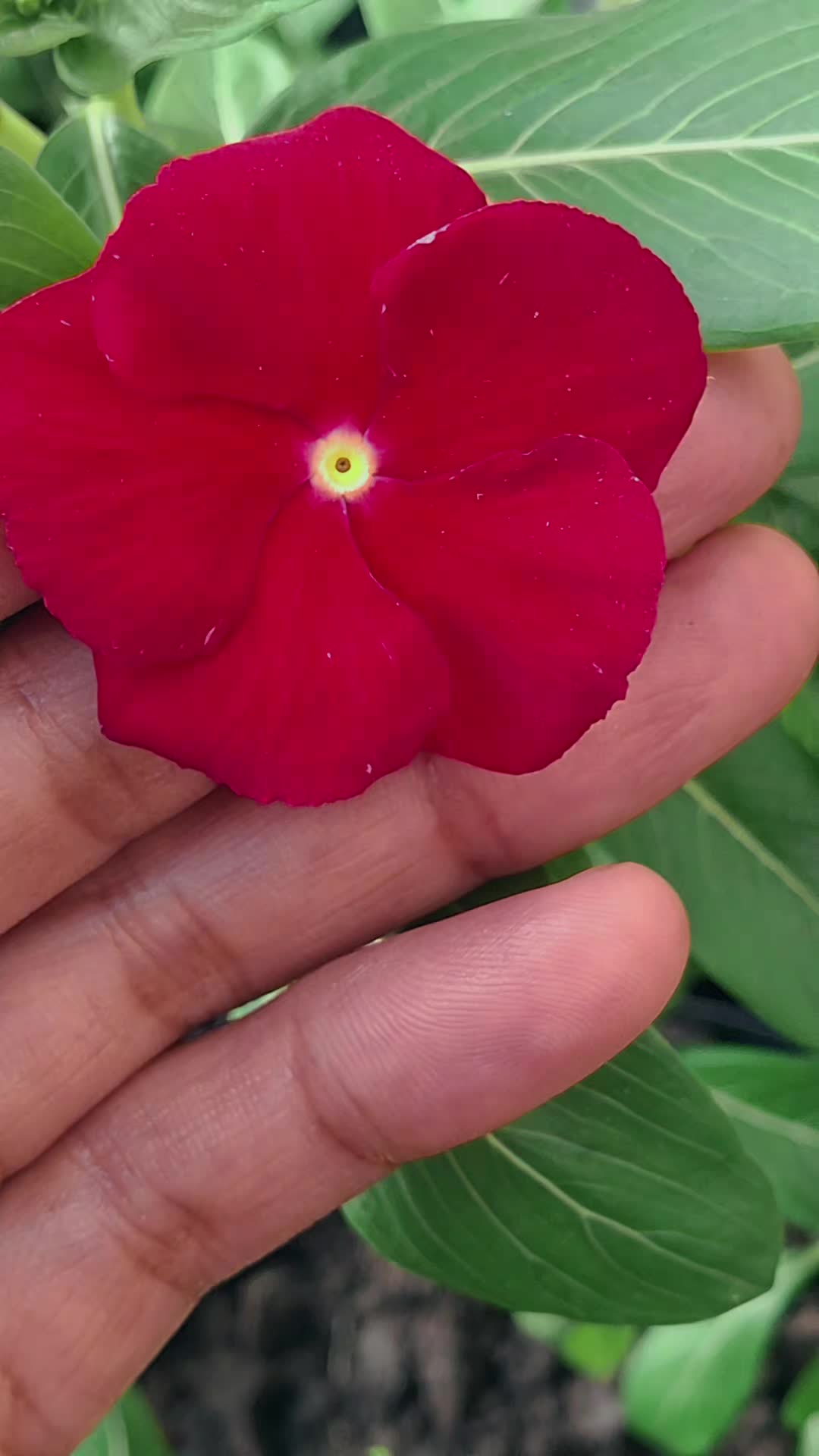 @naina@♥️♥️
