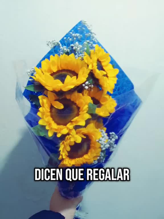 @Christian Ibarguen