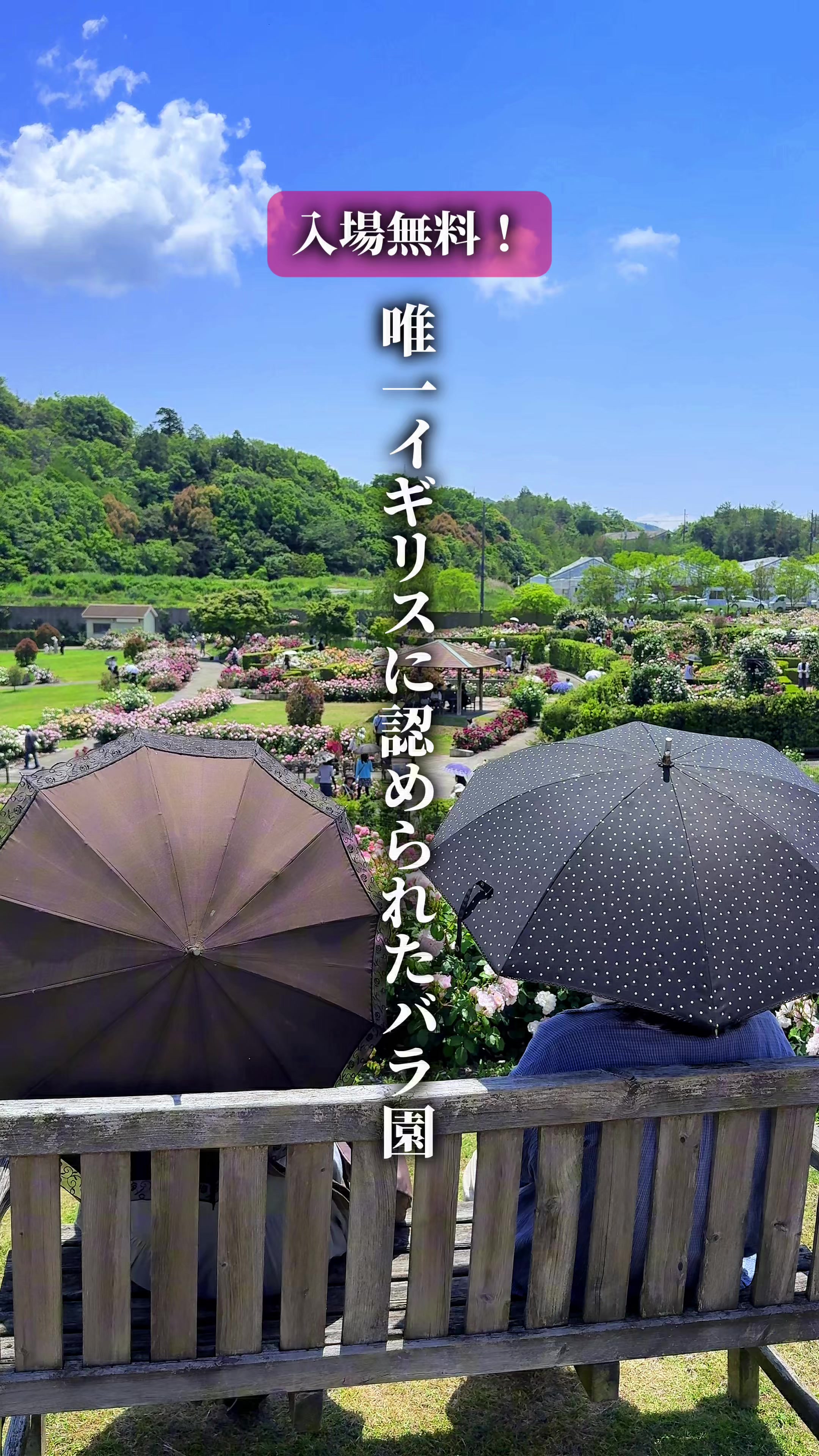 @ひろと / 大阪発！関西トレンド独占旅🔥