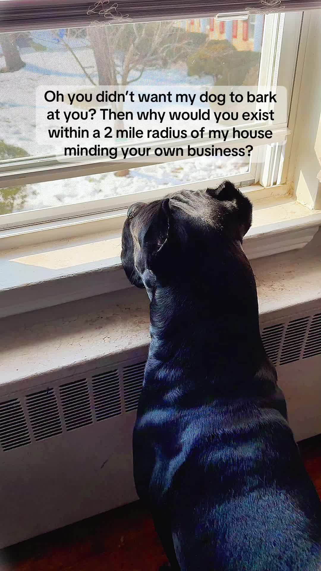 @Bentley Has Issues
