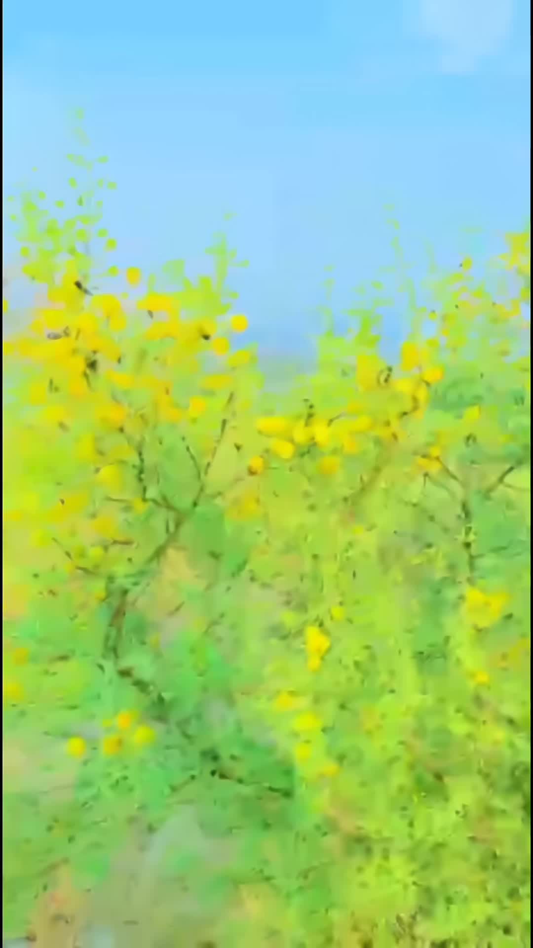 @عبدالقدوس وفا
