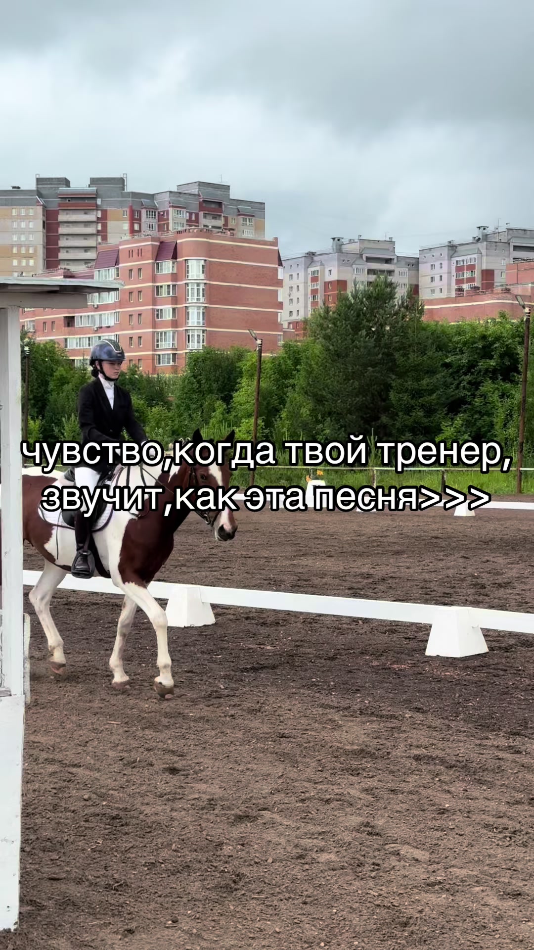 @Ли🐴