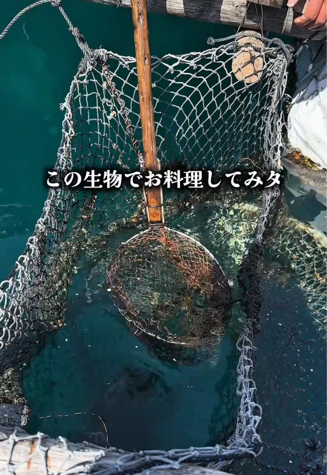 @りょう丸船長