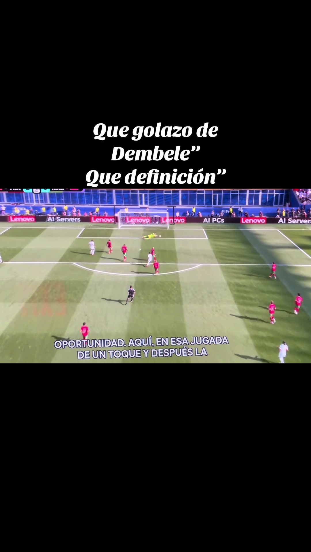 @El Rey &ldquo;pitbull.&rdquo;?