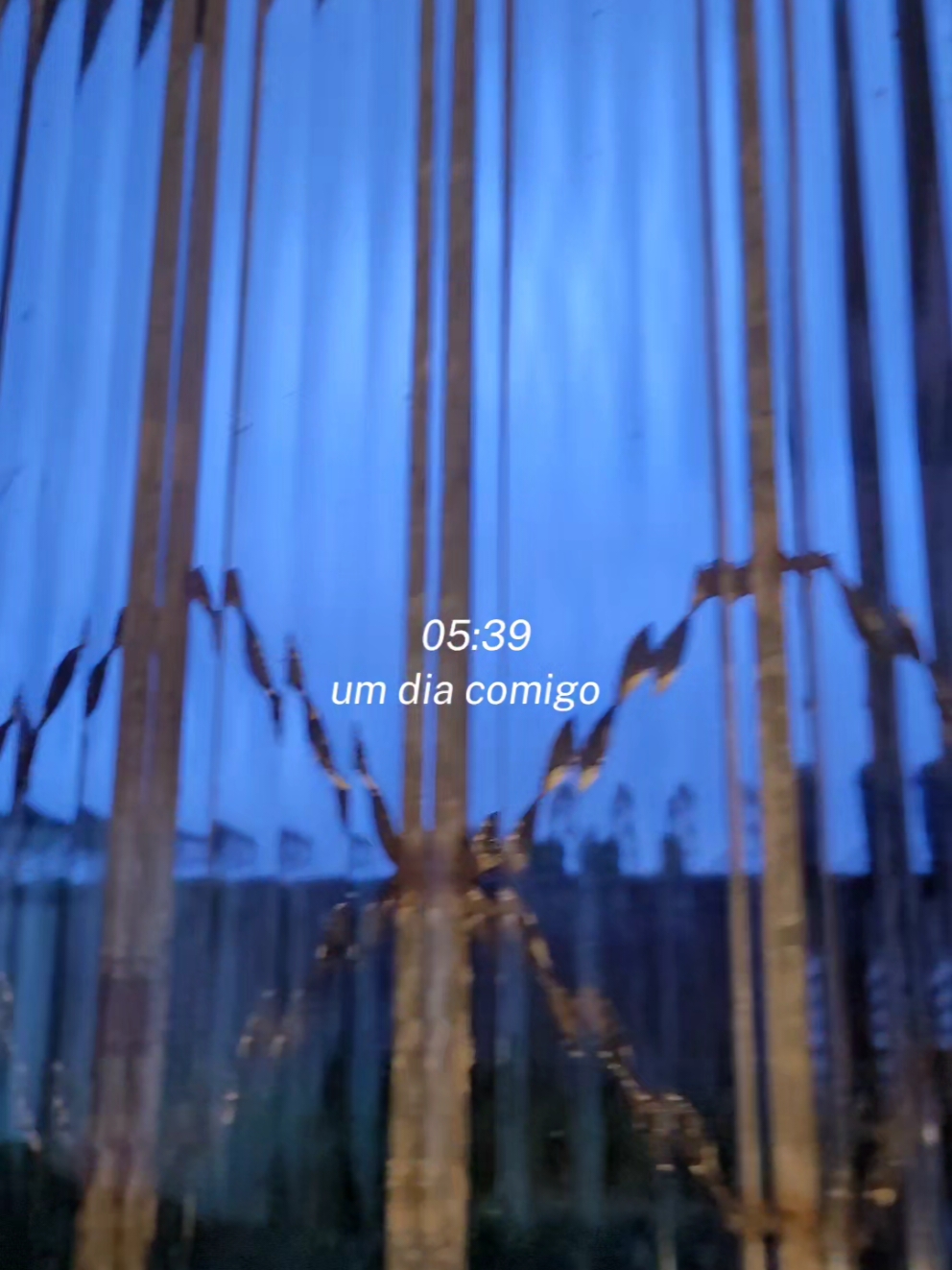 @Secundáriaday