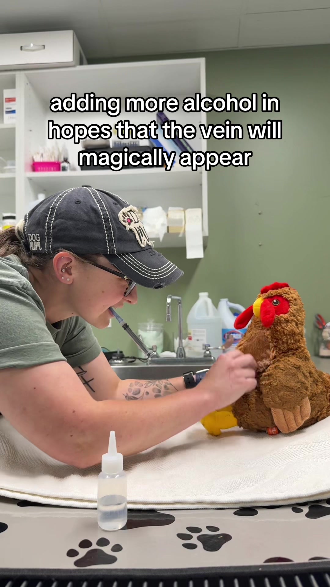 @Triangle Vet