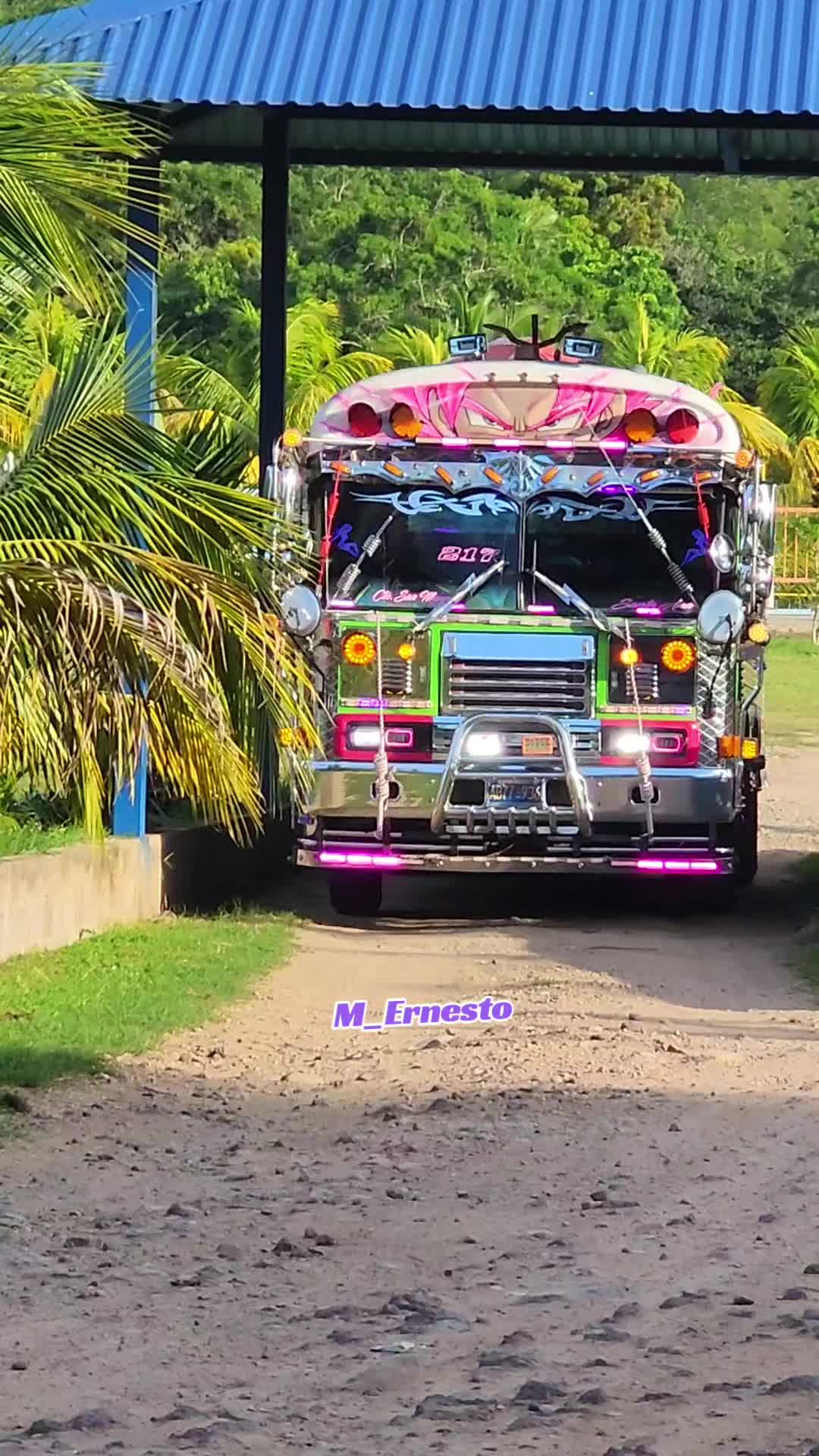 @M_Ernesto🦜