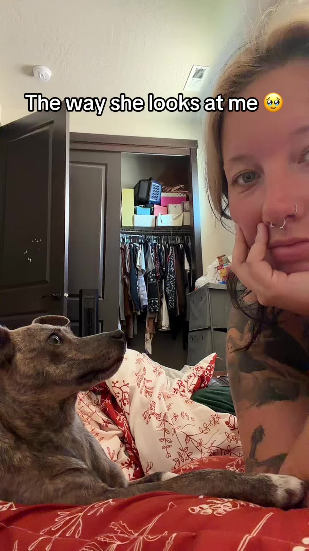 @Lexisaurus 🦕