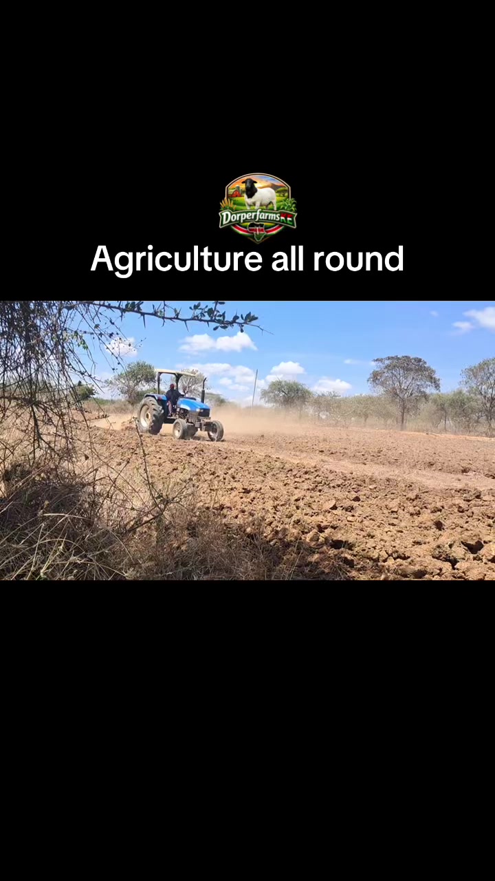 @DorperfarmsKE🇰🇪