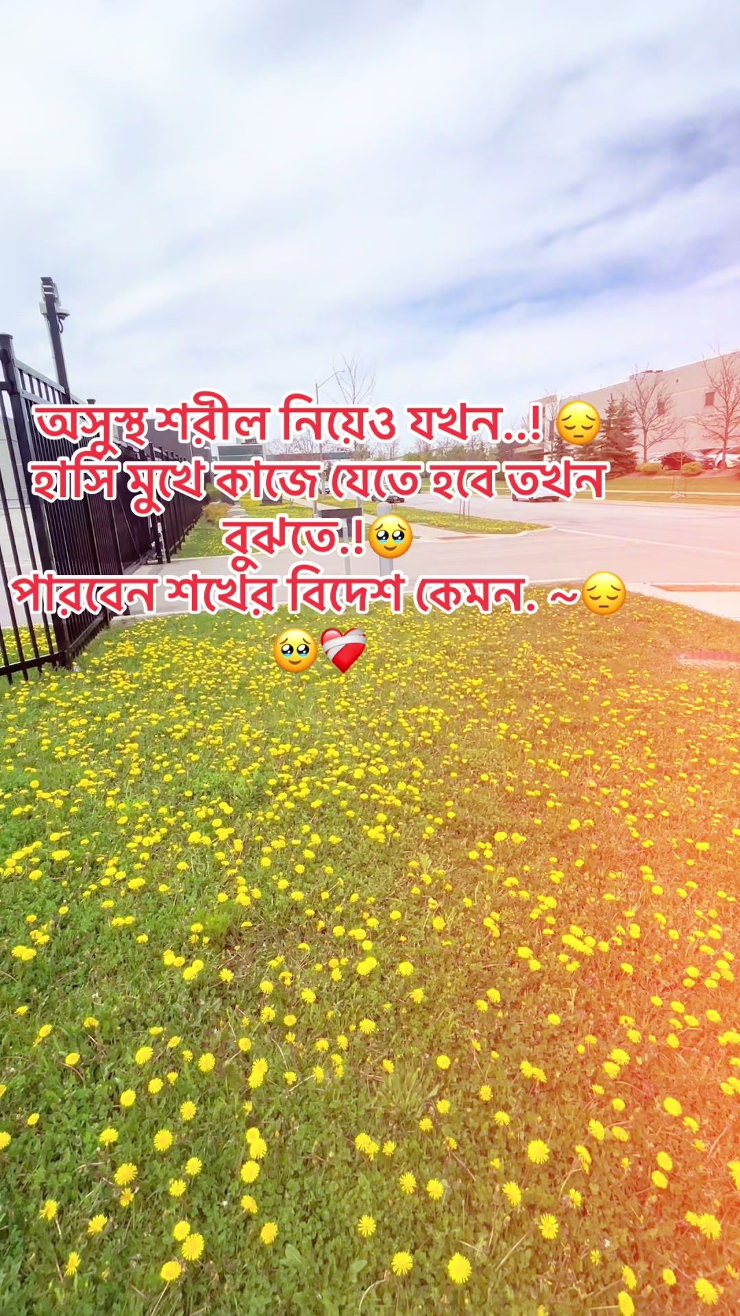 @Chowdhury  Riyadh 🇨🇦🇨🇦🇨🇦