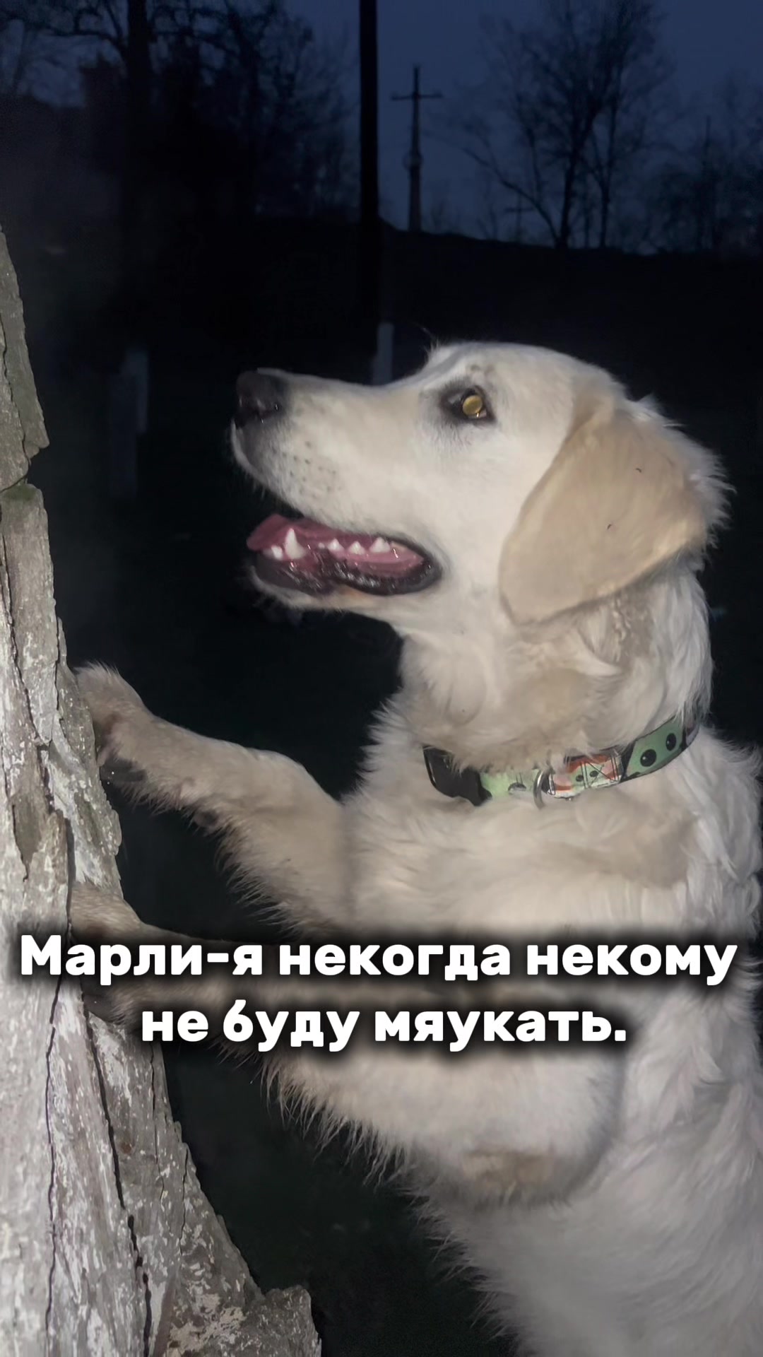 @𐔤ɯᥲᥴⲧыύ ⲙᥲρ᥈υ🥏