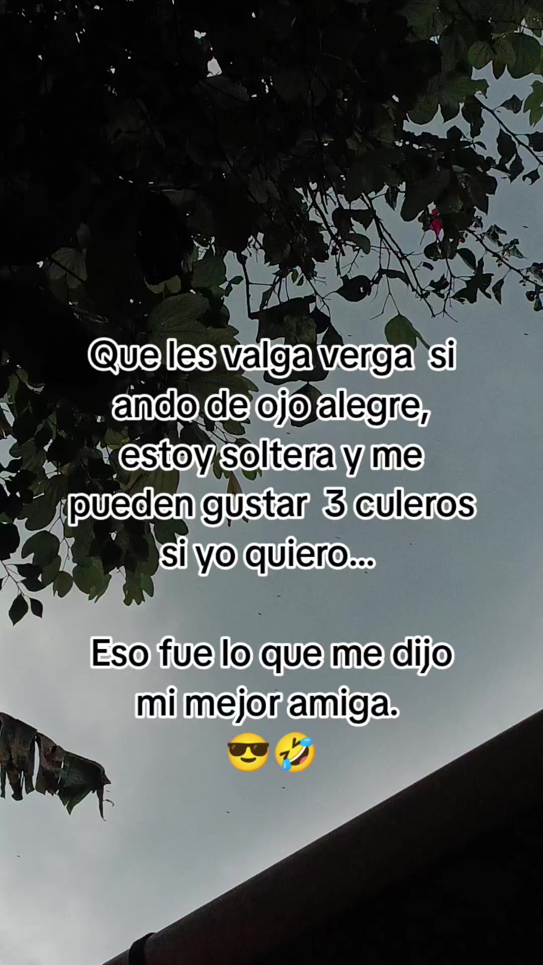 @Sanchez❤️