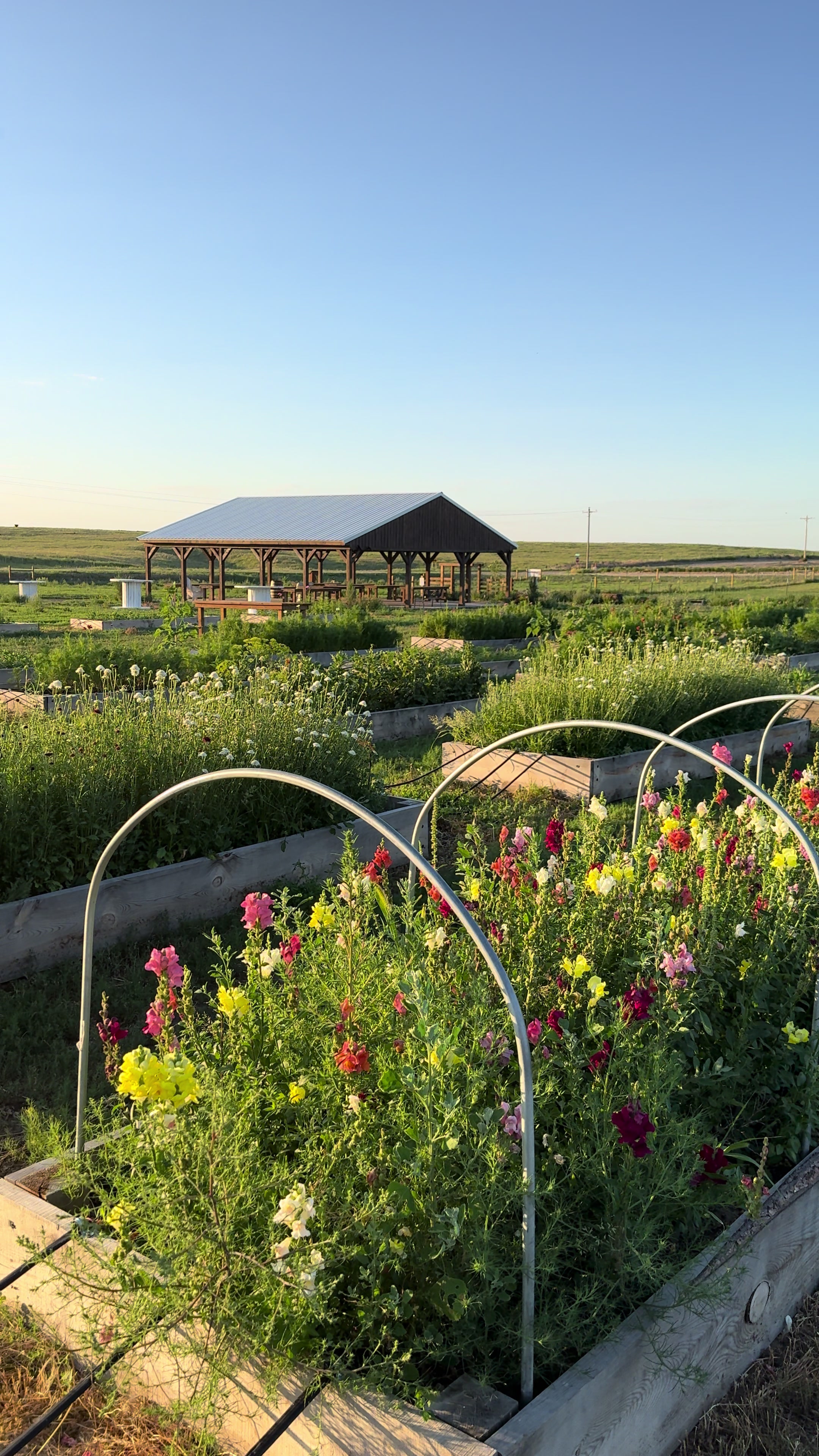 @Sandy Acres Farm