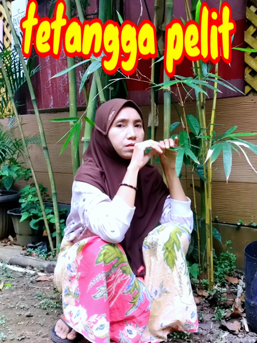 @Bubun Ganeas