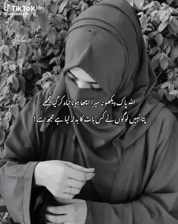 @rananaveed85971