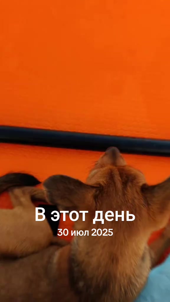 @Алеx 41-23 регион