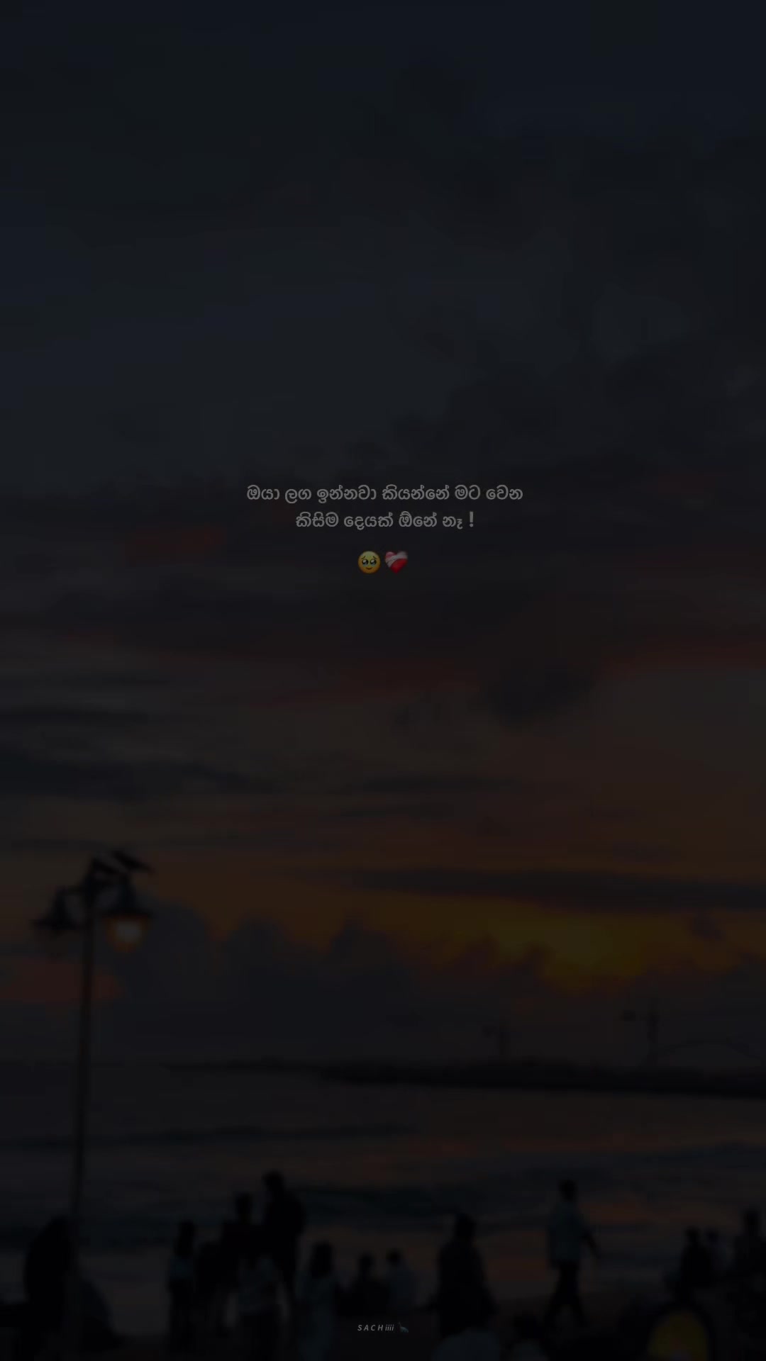 @𝙎 𝘼 𝘾 𝙃 𝙞𝙞𝙞𝙞 🦕