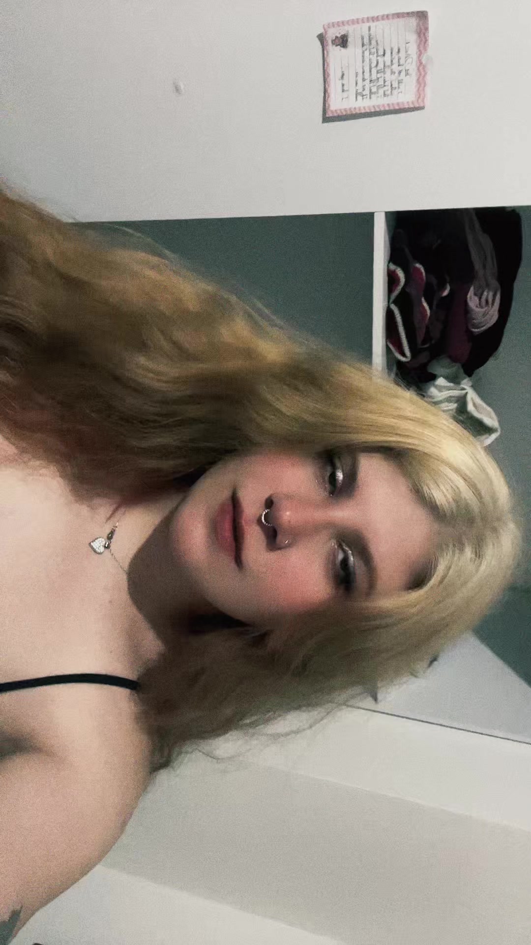 @meivesz