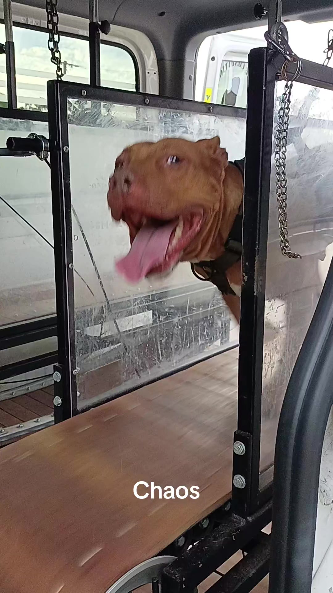@Canine Conditioning