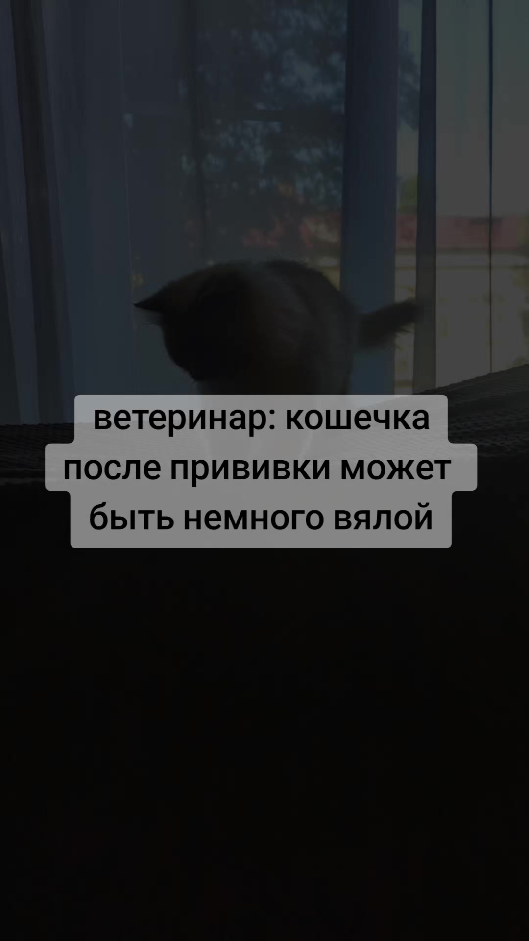@я не знаю никакой Саманты