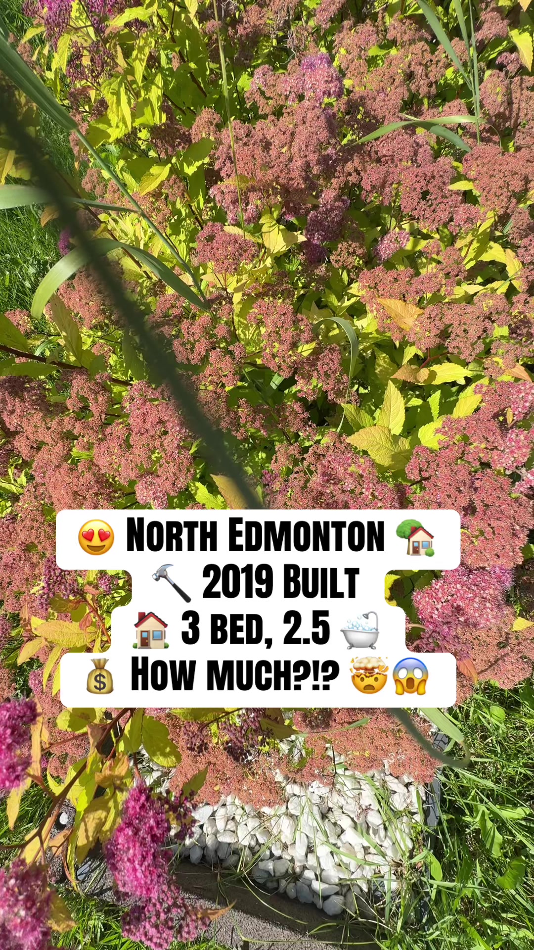 @Marshal Muhammad |YEG REALTOR®