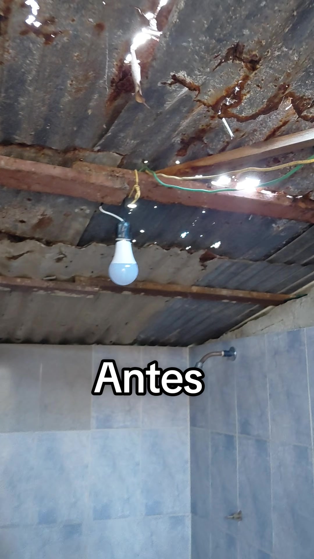 @Yessenia Robles | Emprendedora
