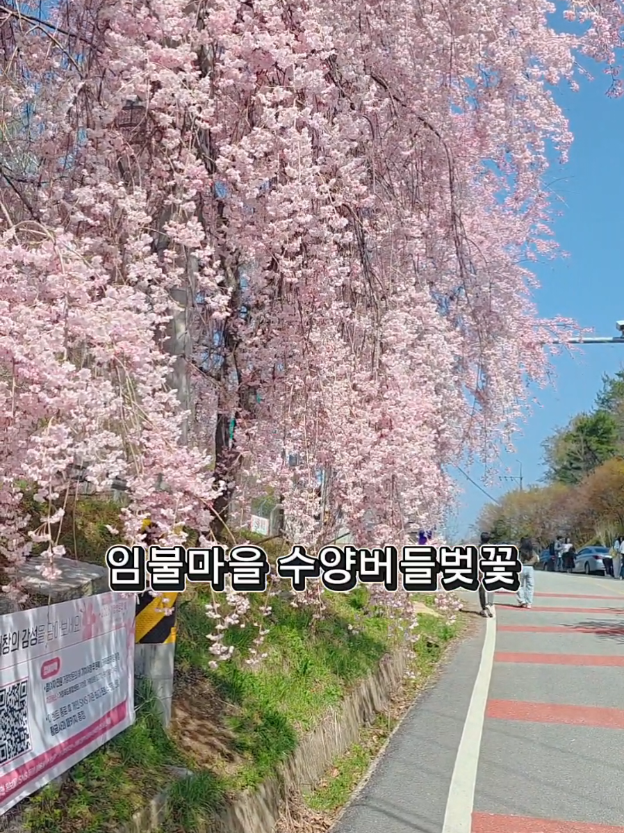 @오찬물