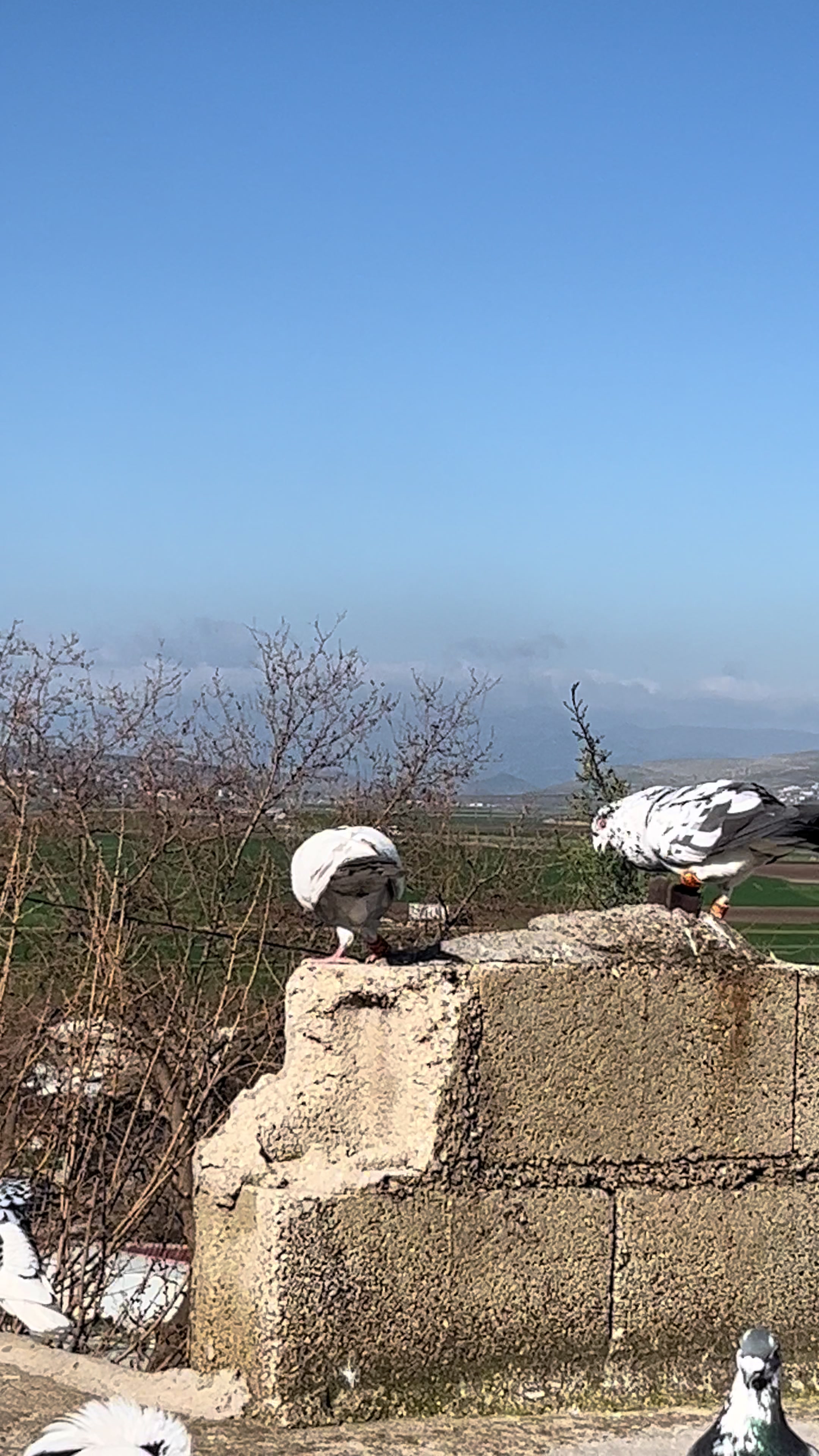 @başkoo♻️