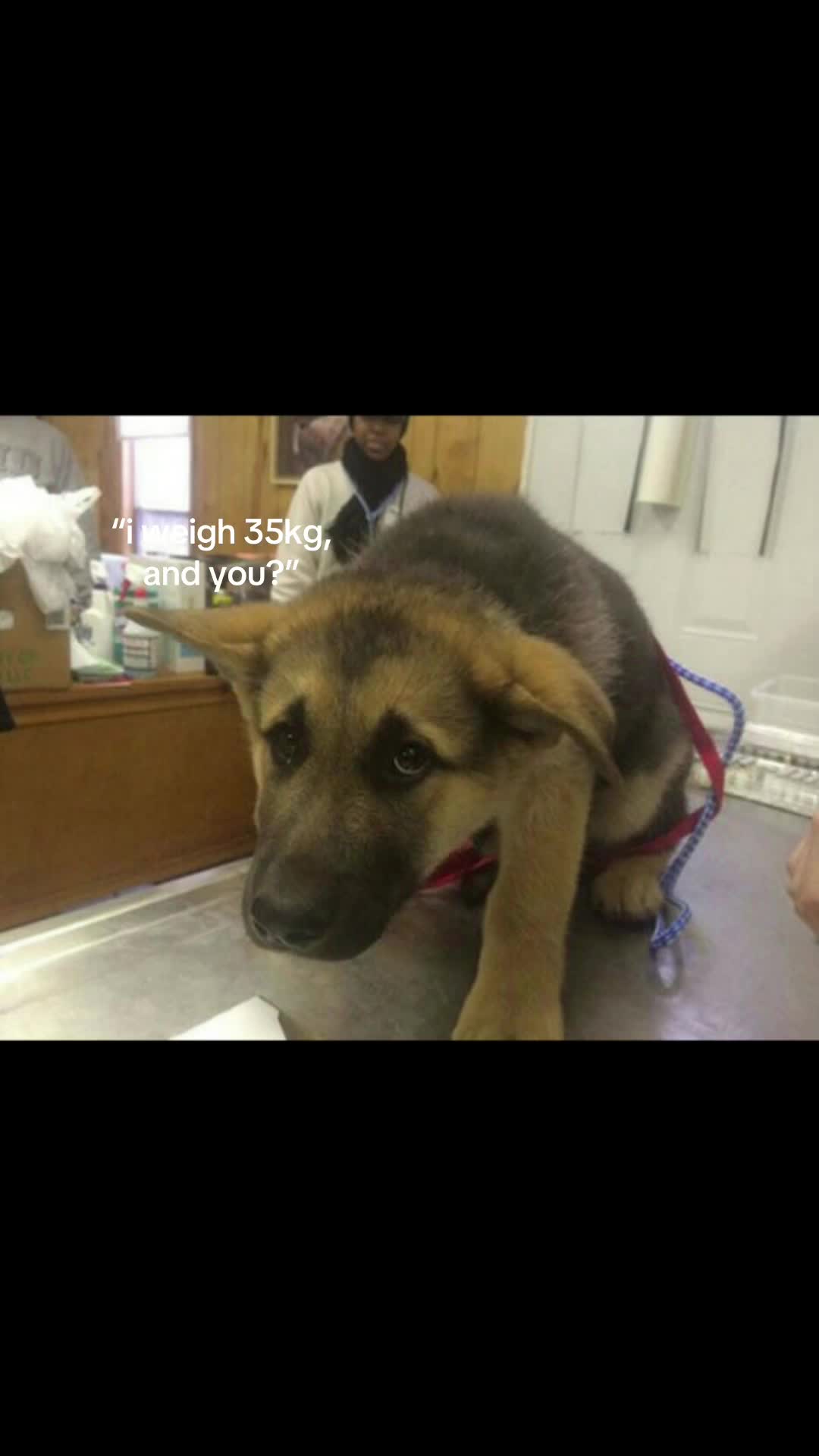 @malenkaya mertvaya