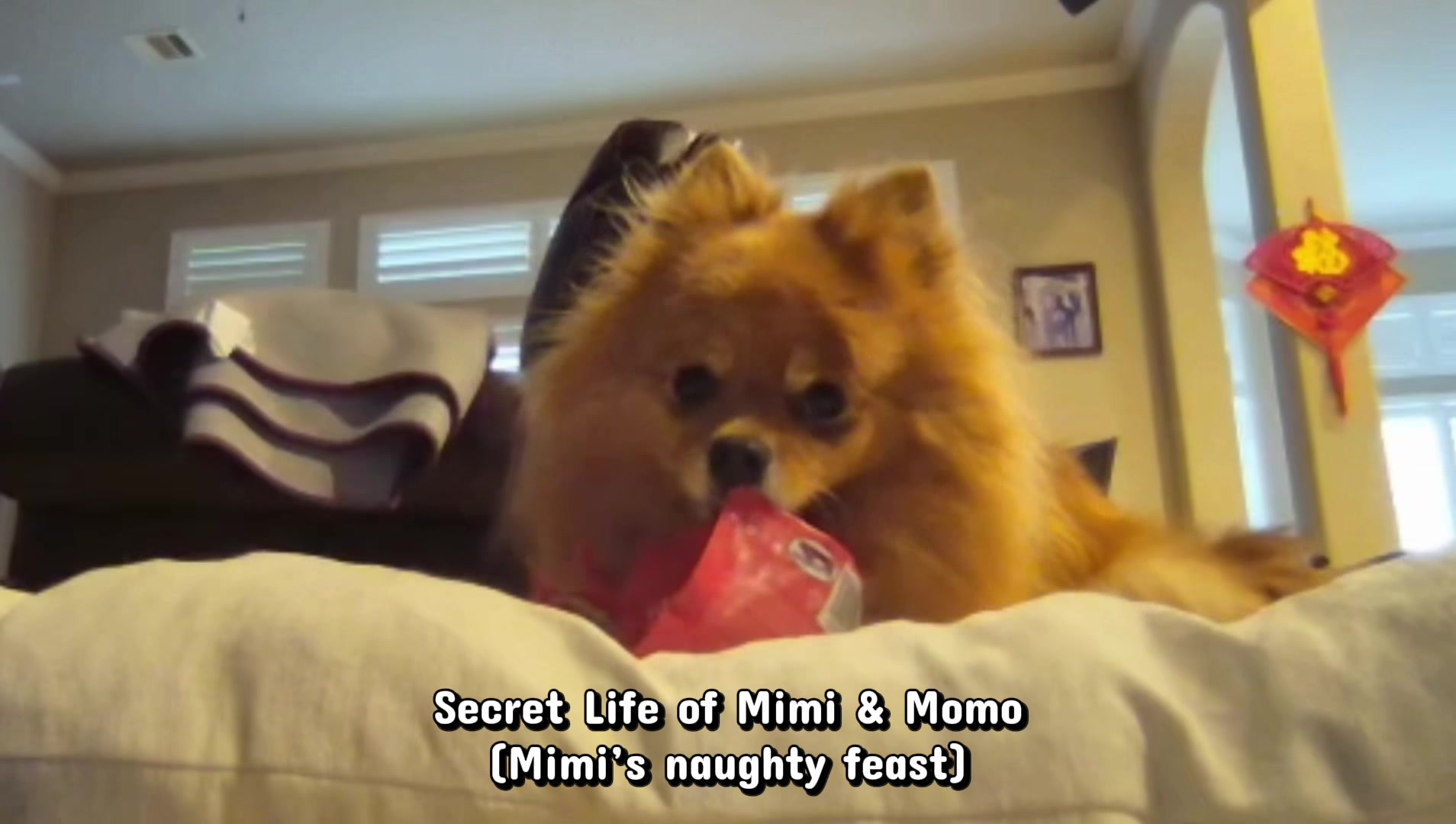 @mimi & momo