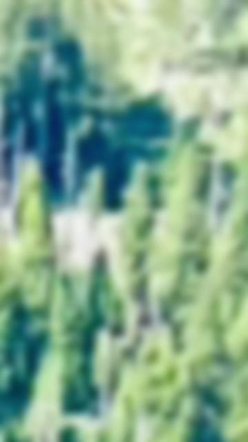 @🌳balijakpkohistan55055🌳